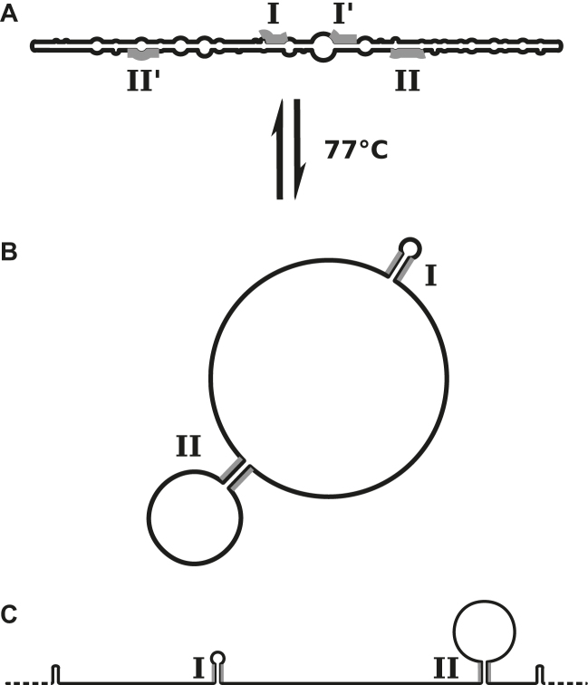 Figure 11.