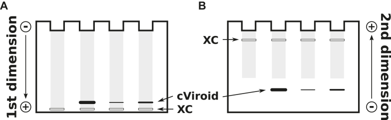 Figure 8.