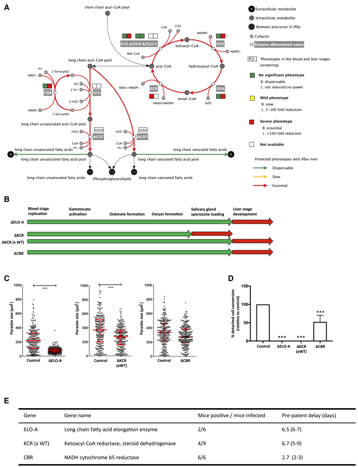 Figure 6