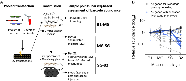 Figure 1