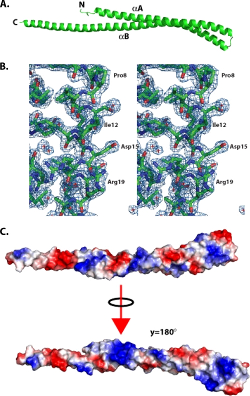 FIG. 1.