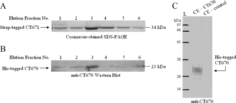 FIG. 5.