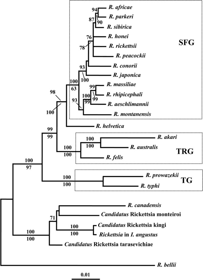 Fig 2