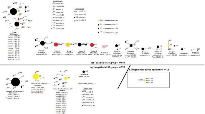 FIG 2 