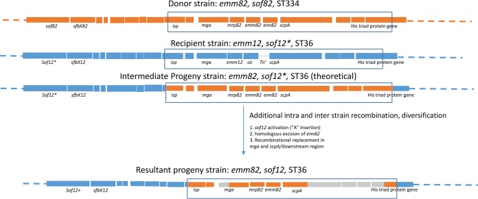 FIG 4 