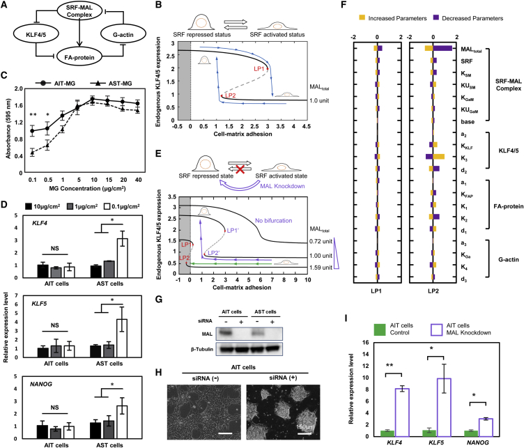 Figure 6