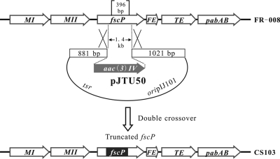 FIG. 4.