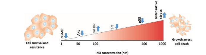 Fig. (2)