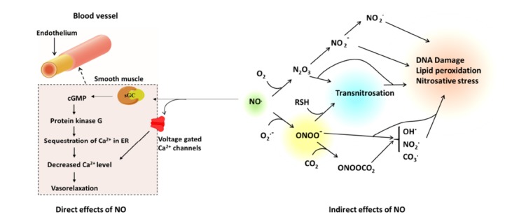 Fig. (1)