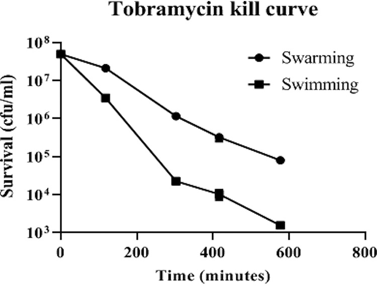 FIG 2