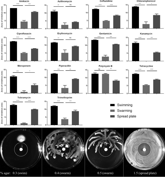 FIG 1