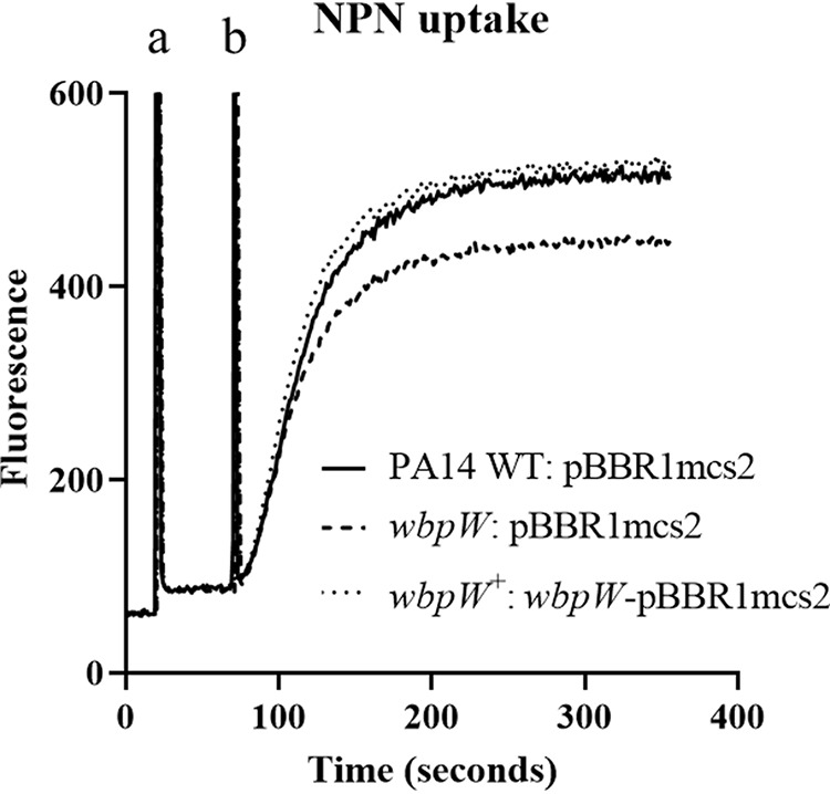 FIG 6