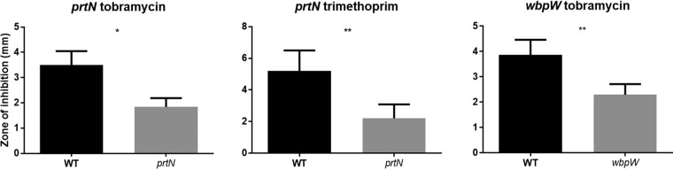 FIG 3