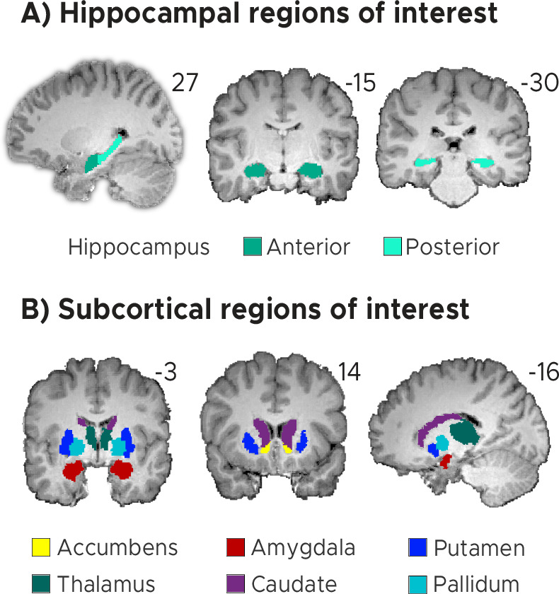 Figure 2—figure supplement 1.