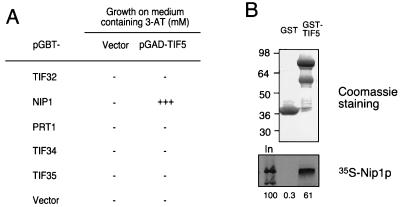 FIG. 7