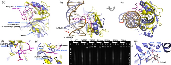 Figure 5.