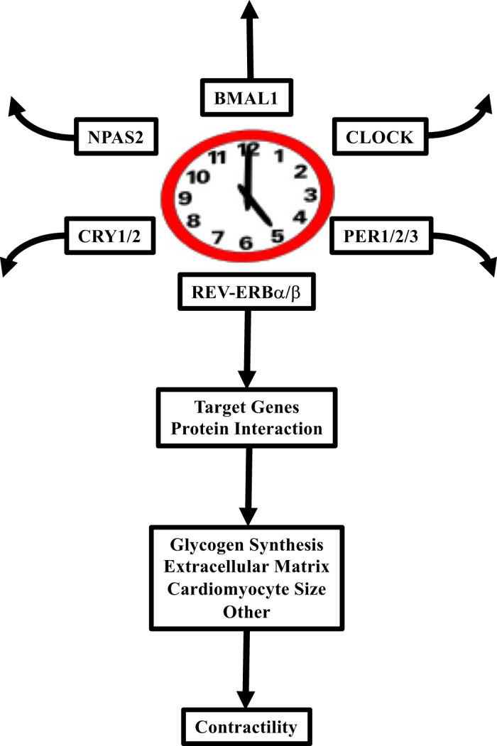 Fig. 9.