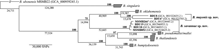 FIG 1