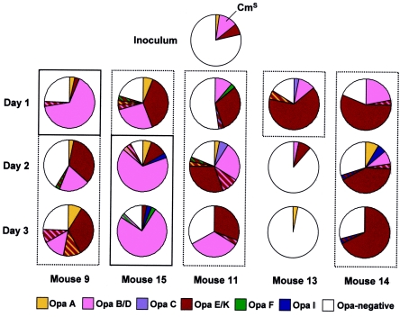 FIG. 4.