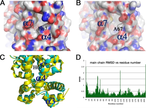 FIGURE 6.