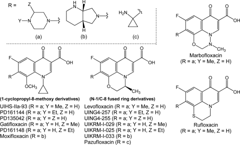 FIG. 1.