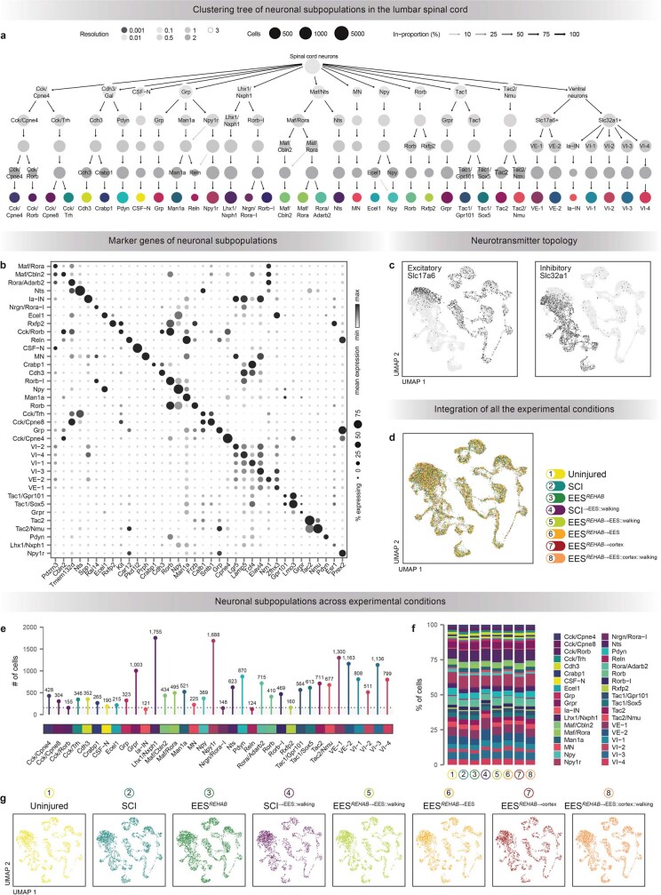 Extended Data Fig. 4