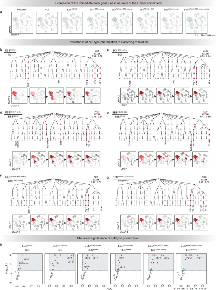 Extended Data Fig. 8