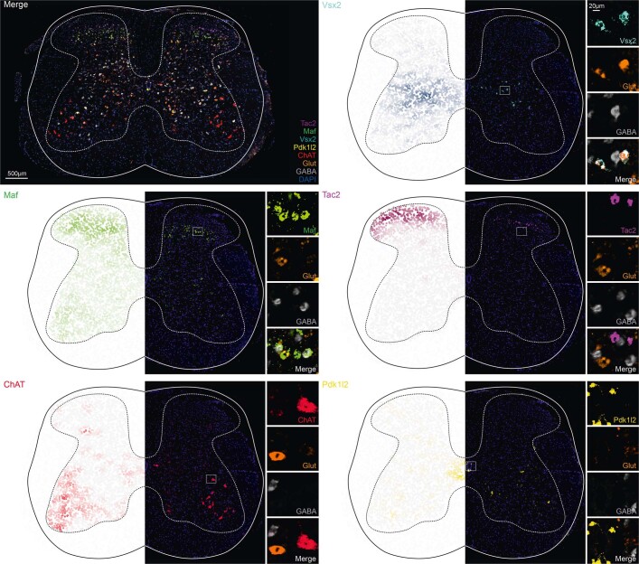 Extended Data Fig. 7