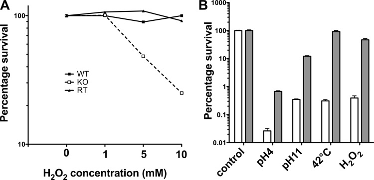 FIG 4