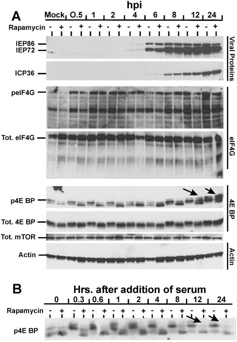 FIG. 5.