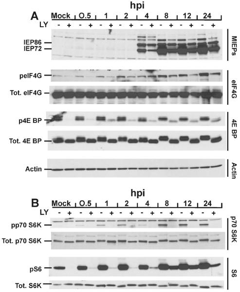 FIG. 9.