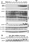 FIG. 5.