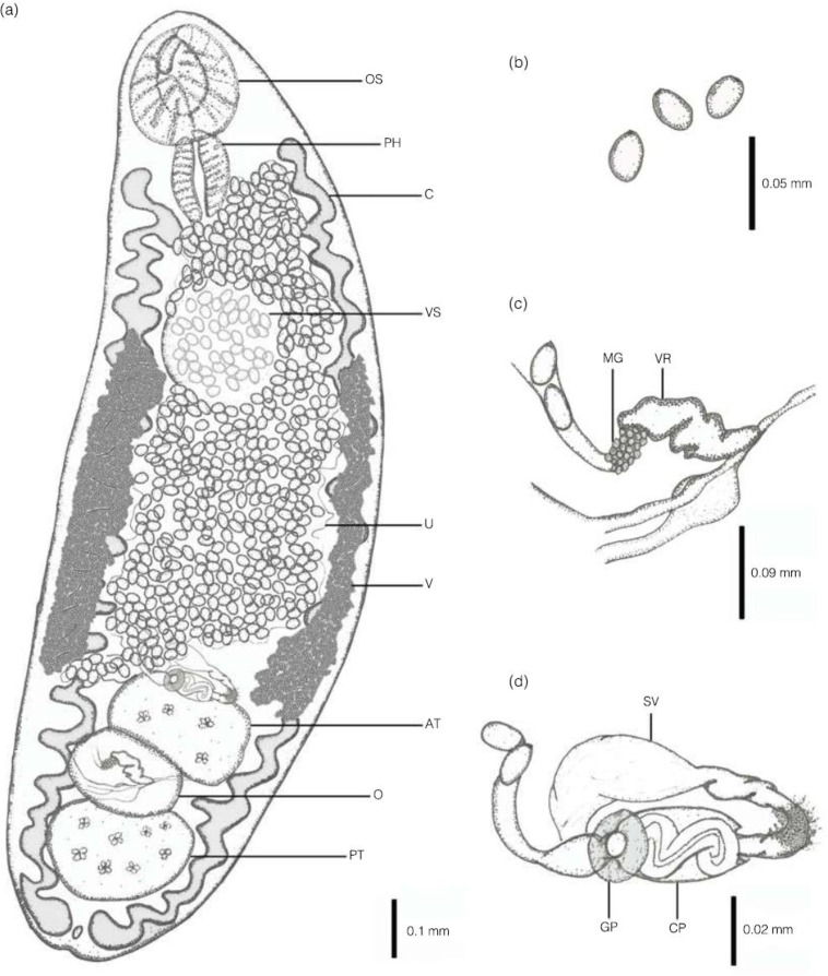 Fig. 2: