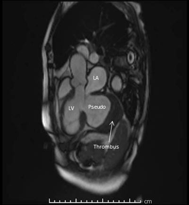 Figure 6