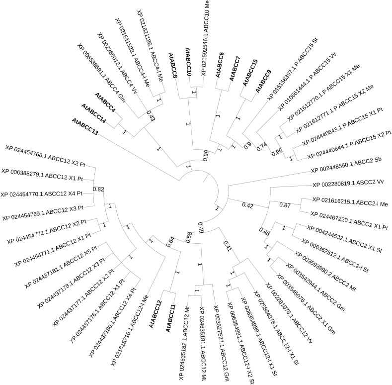 FIGURE 3