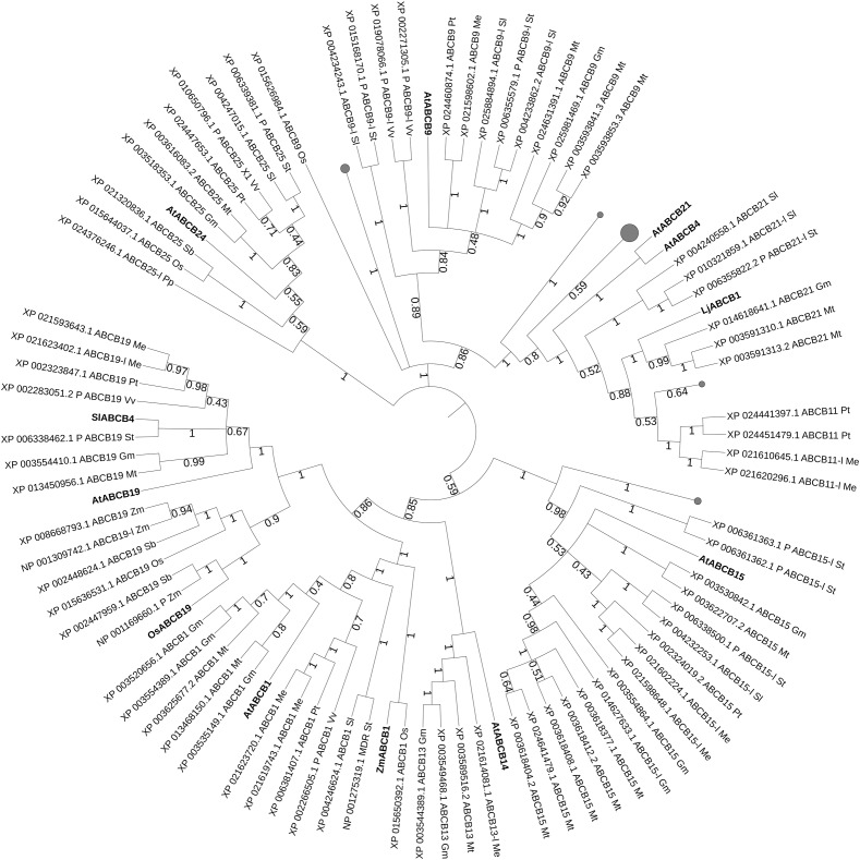 FIGURE 2