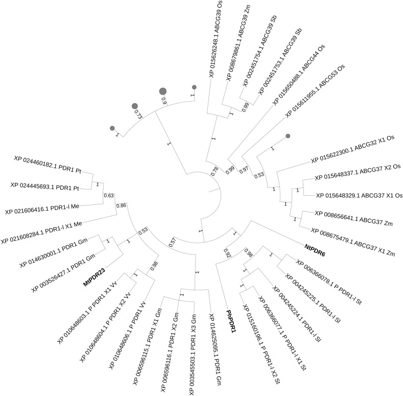 FIGURE 4