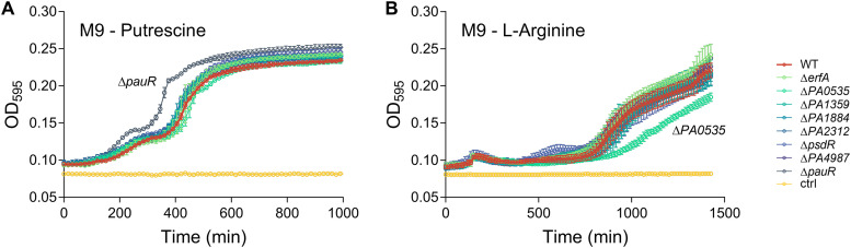 FIG 6