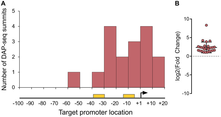 FIG 3