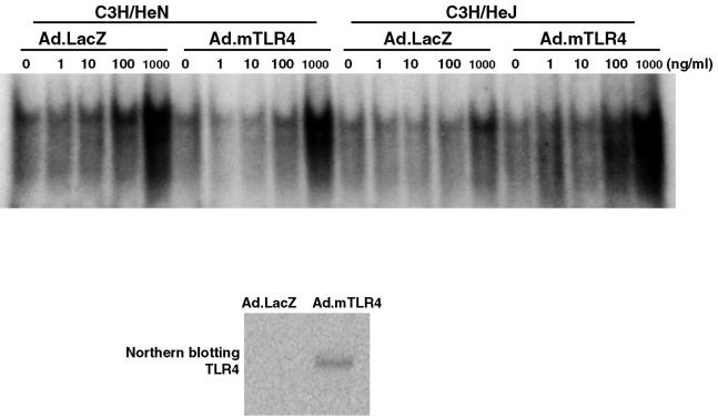 FIG. 4.