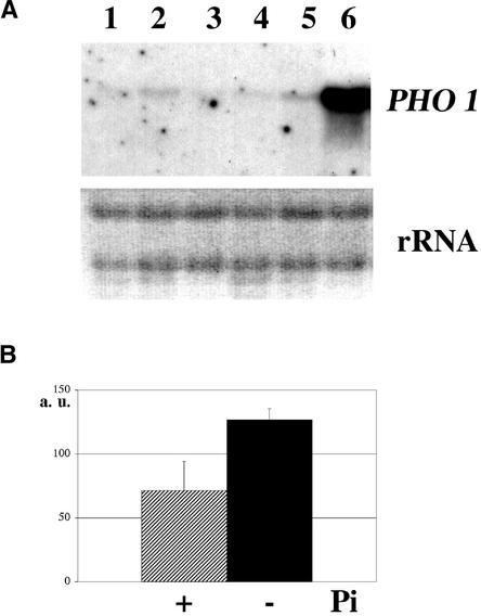 Figure 6.