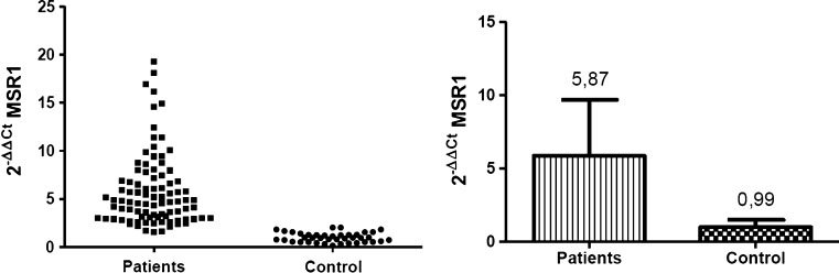 Fig. 2