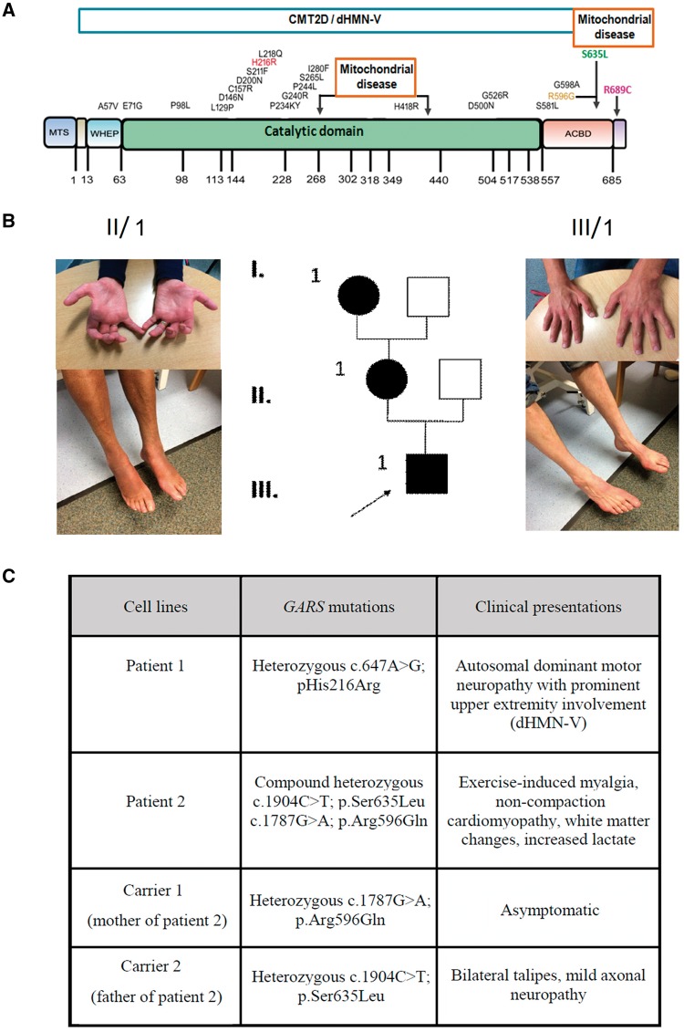 Figure 1.