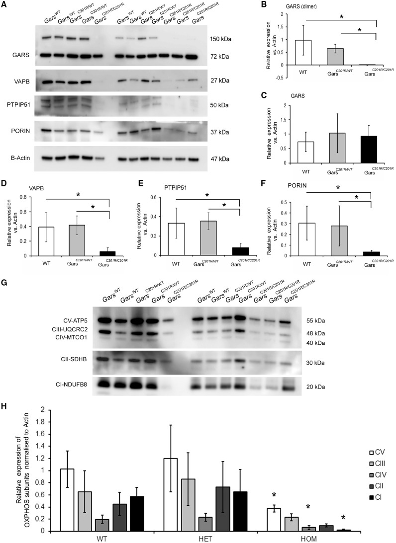 Figure 10.