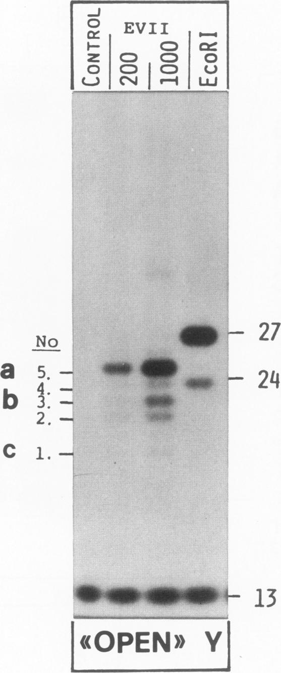 Fig. 10.