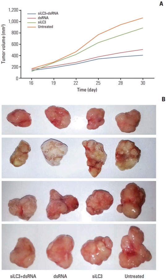 Fig. 8.