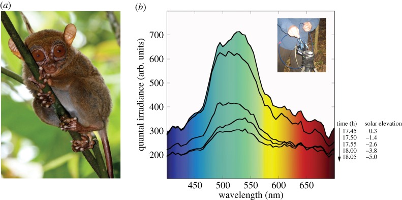 Figure 2.