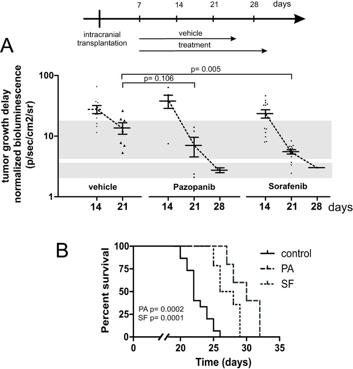 In comparative analysis of multi-kinase inhibitors for targeted ...