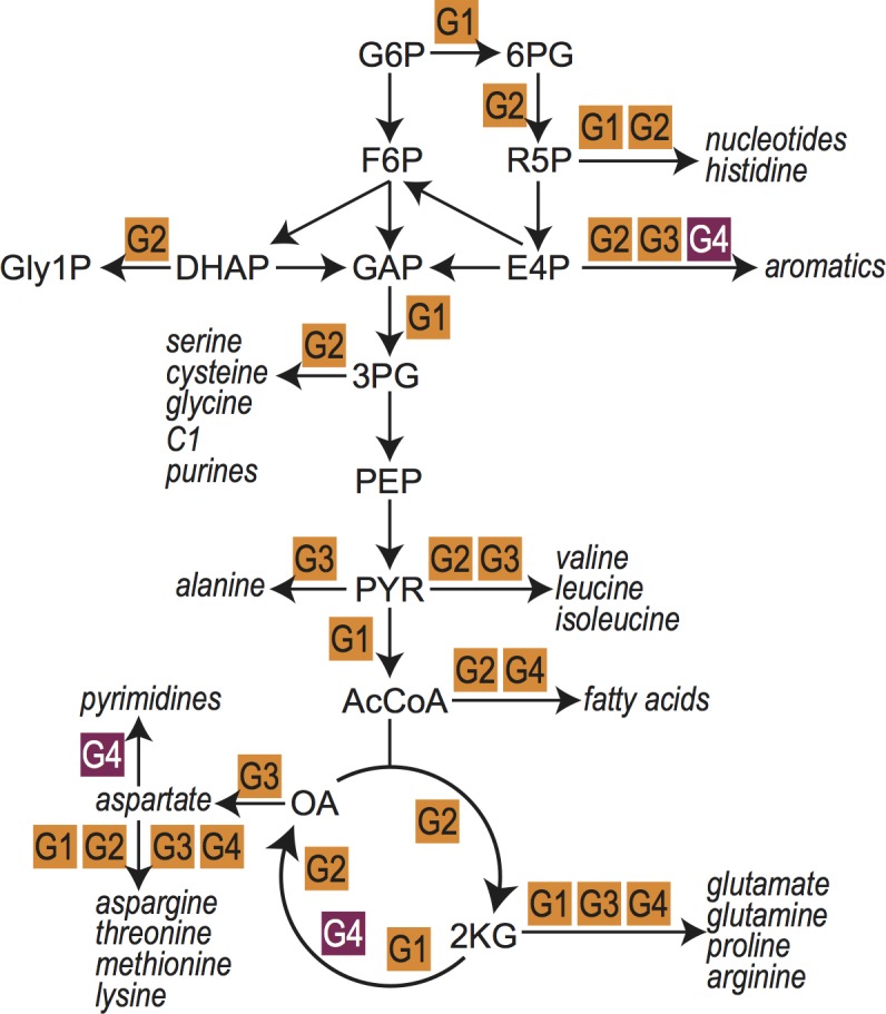 Fig 5