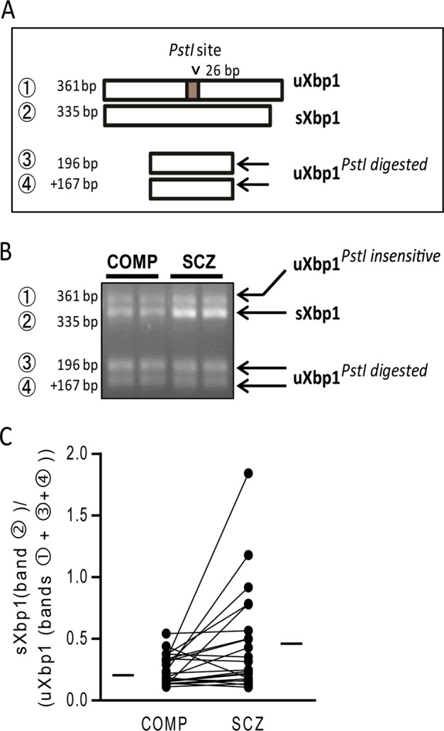 Fig. 4